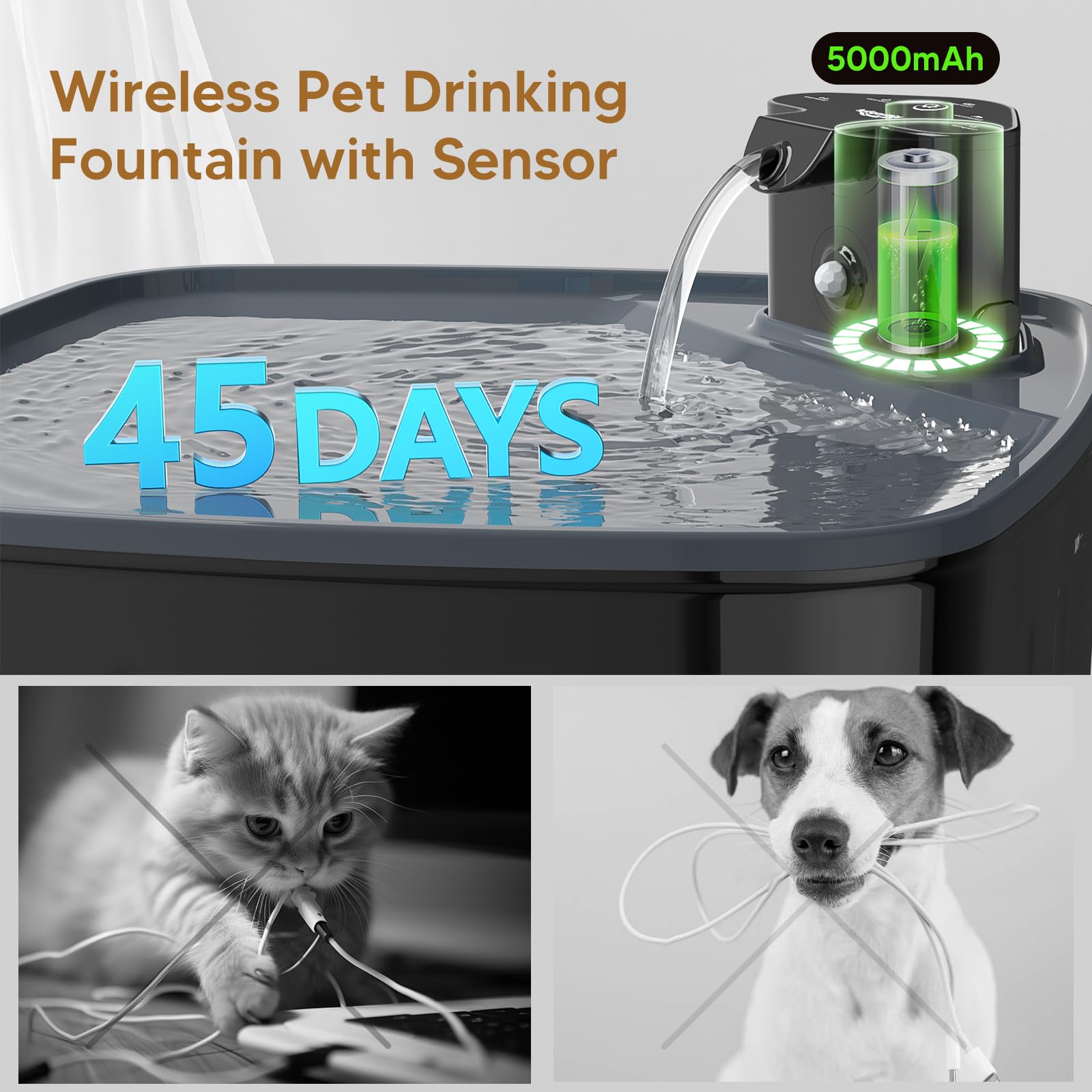 Kittyspout Fontanella per Cani Senza Fili, 8L Fontanella per Gatti e Cane Grosso con Sensore di Movimento, Batteria Ricaricabile Integrata da 5000mAh, con Pompa Silenziosa e Filtro Carbonio Attivo