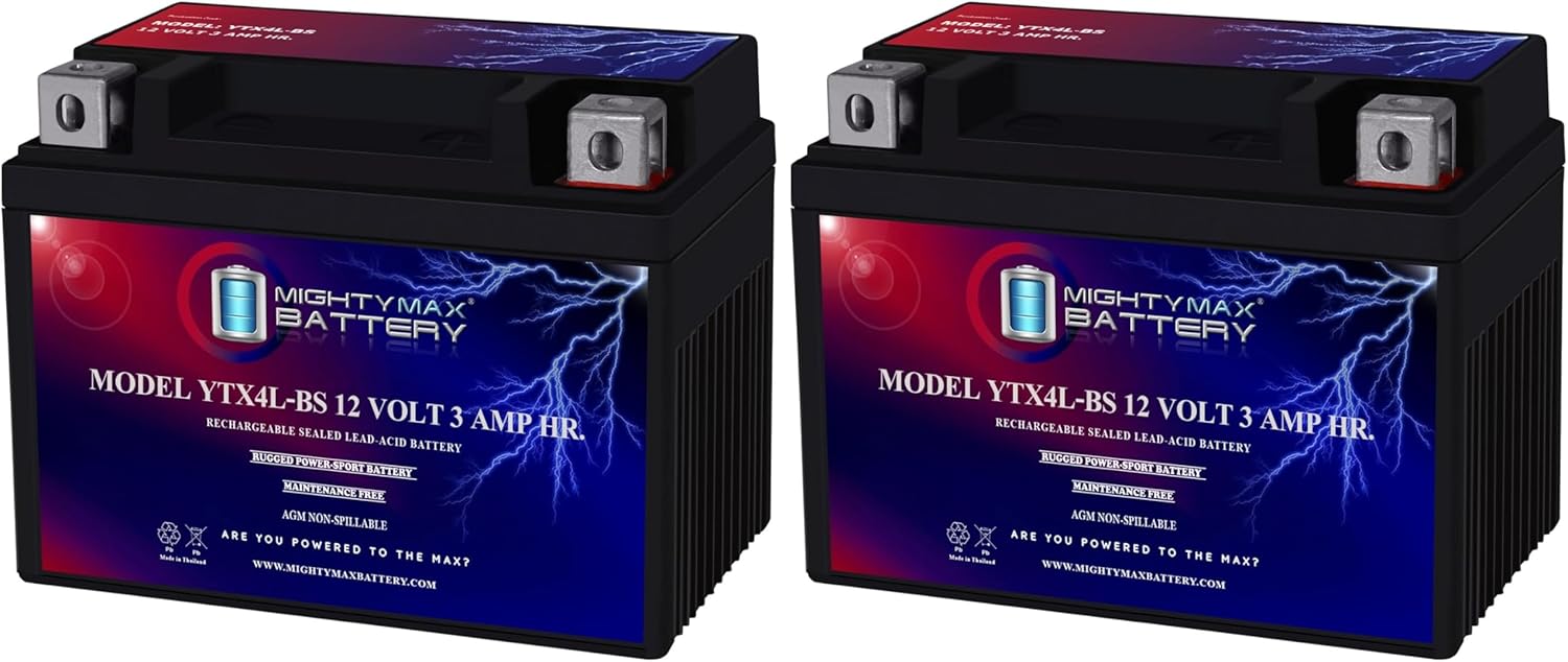 Mighty Max Battery YTX4L-BS SLA Replaces ATV TaoTao Cheetah TForce ATA 110cc ATA Series Brand Product (Pack of 2)