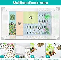 Vista 5 de Geegoods Tanque para Tortuga - Acuario con Plataforma para Hábitat de Mascota de Tortuga y Reptil