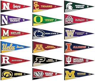 Big Ten Conference College Pennant Set
