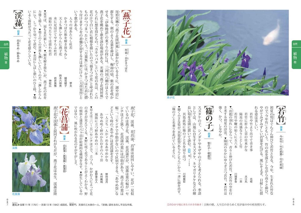 読んでわかる俳句 日本の歳時記 夏 喜代子 宇多 道夫 中原 由美子 片山 和子 西村 櫂 長谷川 本 通販 Amazon 読んでわかる俳句 日本の歳時記 夏 喜代子 宇多 道夫 中原 由美子 片山 和子 西村 櫂 長谷川 本 通販 Amazon
