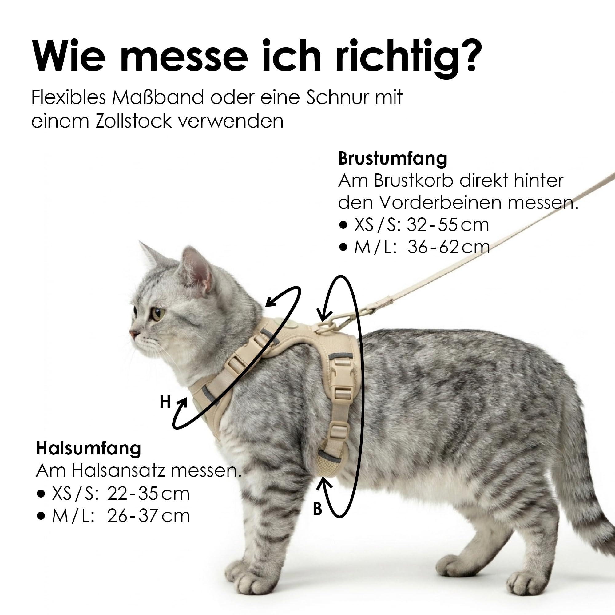 LucyBalu® Explorer Katzengeschirr mit Leine I Brustgeschirr-Set mit Fach für AirTag I gepolstert, atmungsaktiv & verstellbar I 1,5 m Katzenleine I Leo XS/S