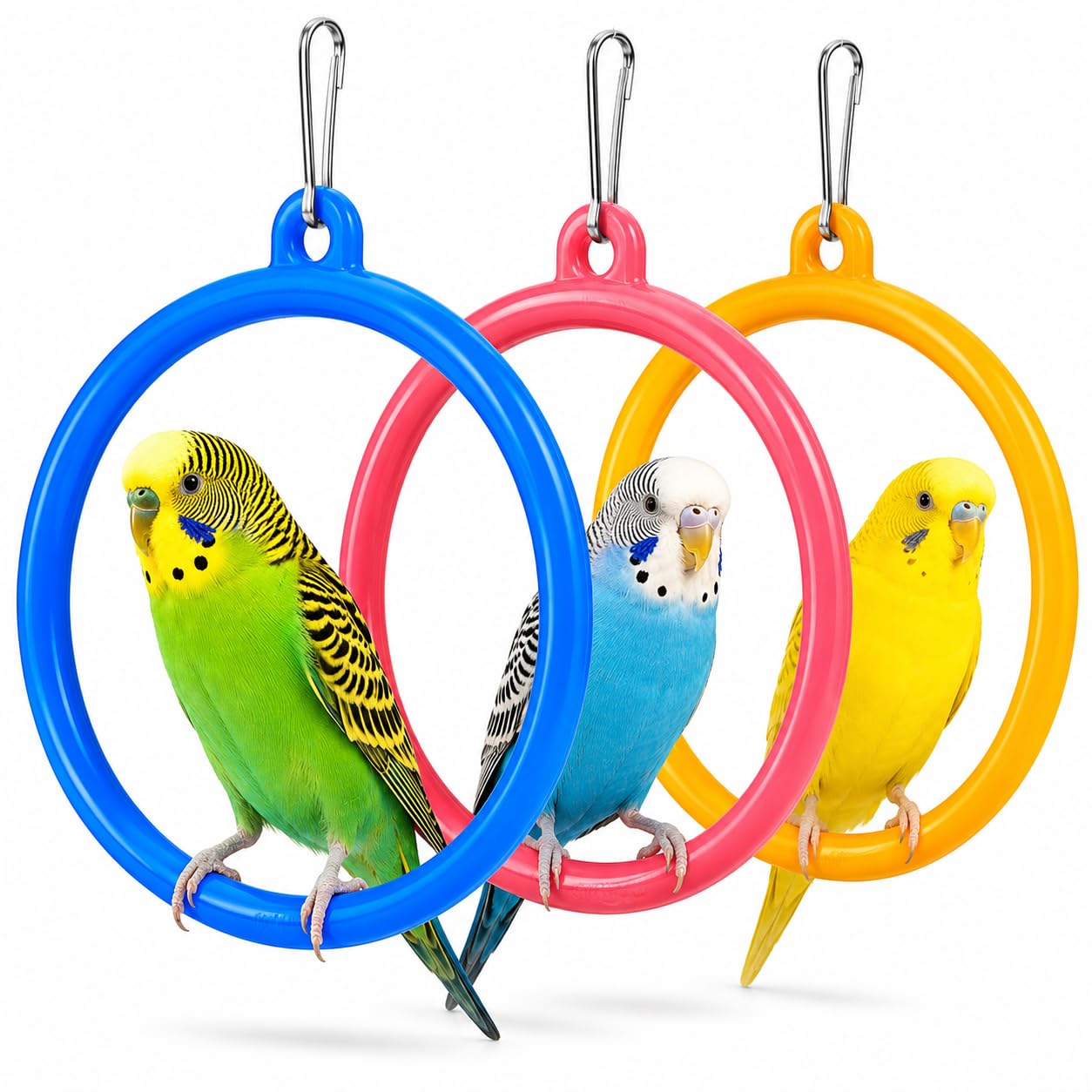 Pet Pro Bird Swing Rings, Interactive Hanging Toys for Parrots, Budgies, Cockatiels, Set of 3-picture-15