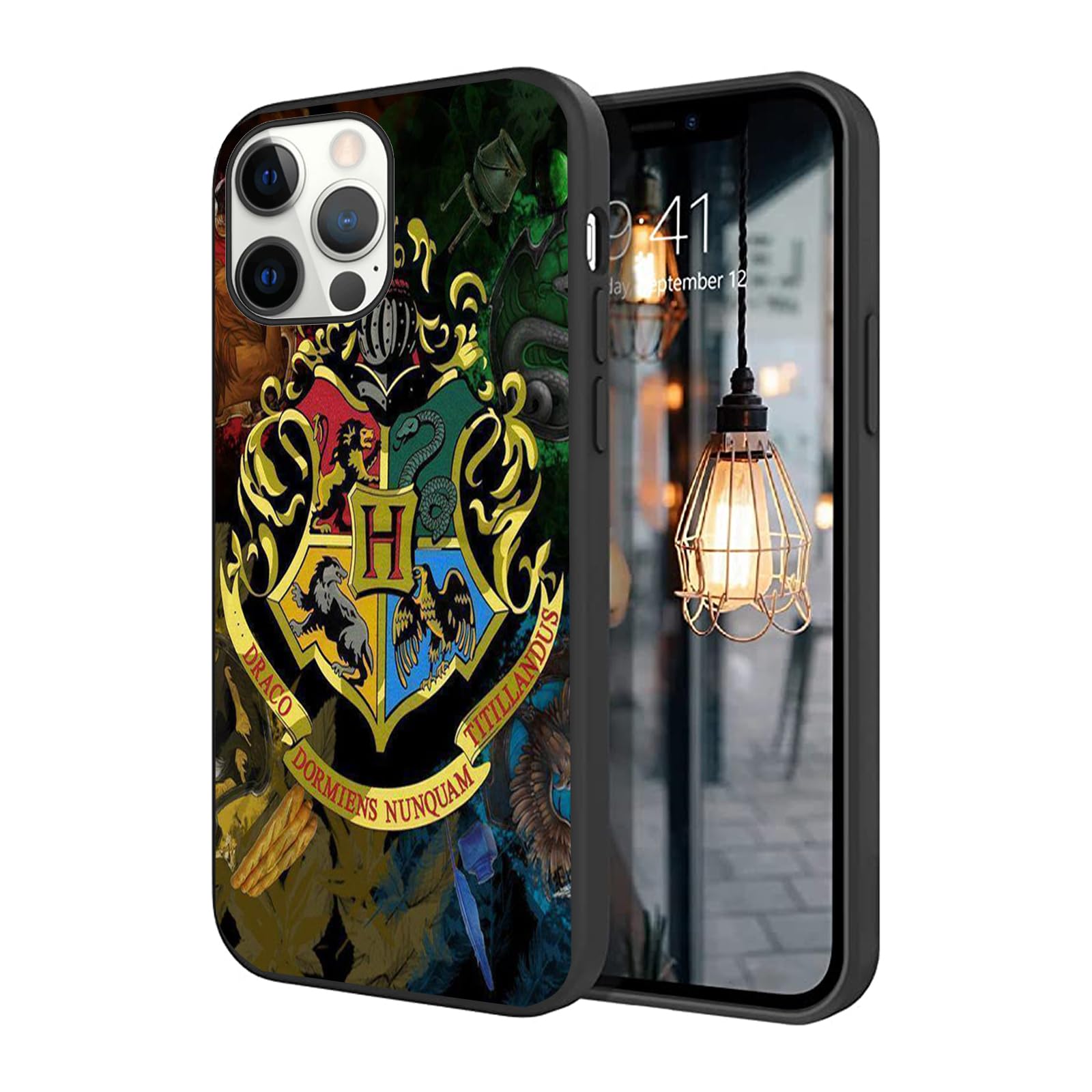 BOXUEZHENU Compatible with Fashion iPhone 16 Pro Max Case, Protective Shockproof Scratch Resistant Soft TPU Case(Harry-Magic-6)