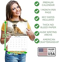 Vista 385 de Razas de Perros 2017