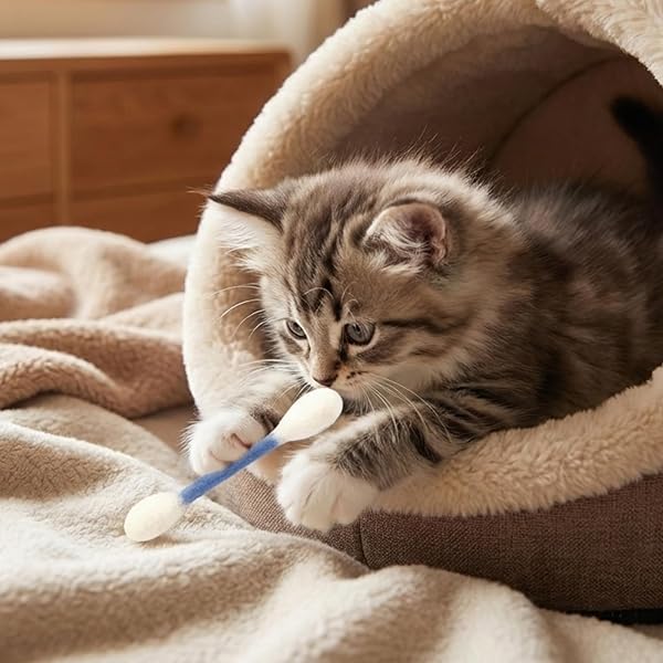Cotons-Tiges pour Chats avec Herbe à Chat - Lot de 6 Bâtons de Mastication Géants pour Chatons, Jouets Interactifs en Feutre pour Chat, Cordes de Dentition Résistantes pour Chats d'Intérieur - 4