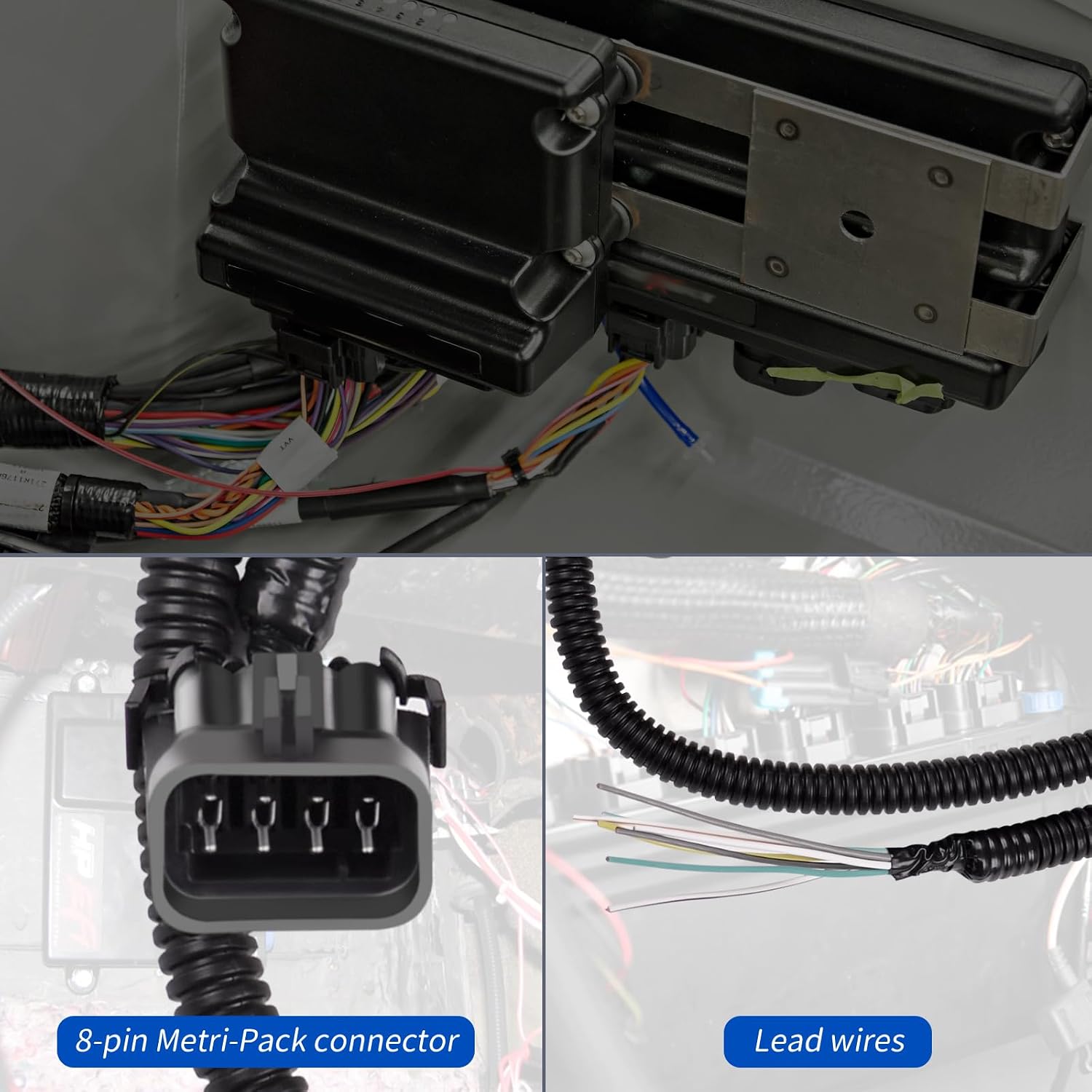 XTPTFABS 558-400 Input Output Wiring Harness/8-Pin J1A/B Input/Output Connector Compatible with Terminator X, HP, and Dominator EFI Systems