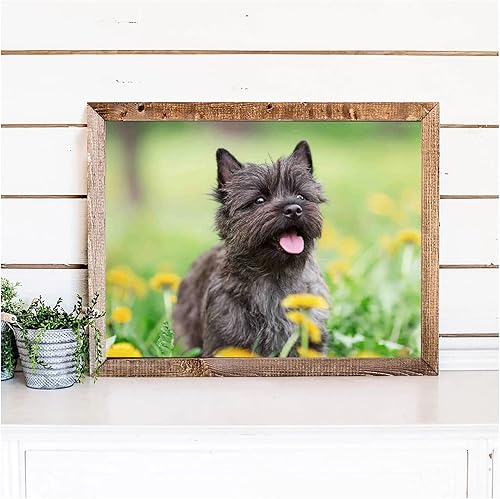 Miniatura 3 de Kit de pintura de diamantes para bricolaje, perro Cairn Terrier redondo, punto de cruz, arte por número, para adultos, decoración de pared, regalos