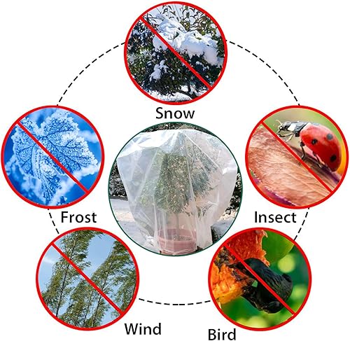 Miniatura 5 de Cubiertas para plantas con protección contra congelación, plástico transparente de 6 mil con cordón de invernadero, bolsas de cubierta de escarcha