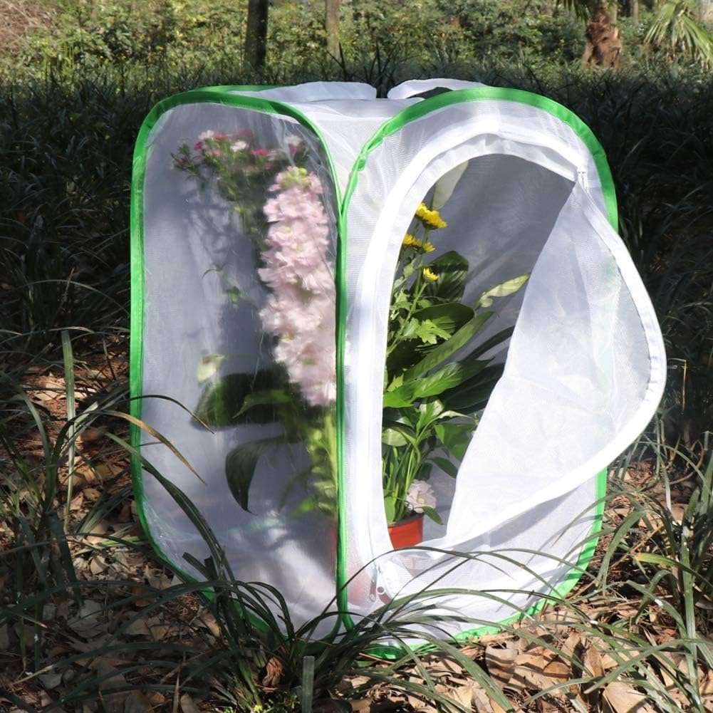 Lot de 2 cages à insectes et papillons pour terrarium 40 x 40 x 60 cm