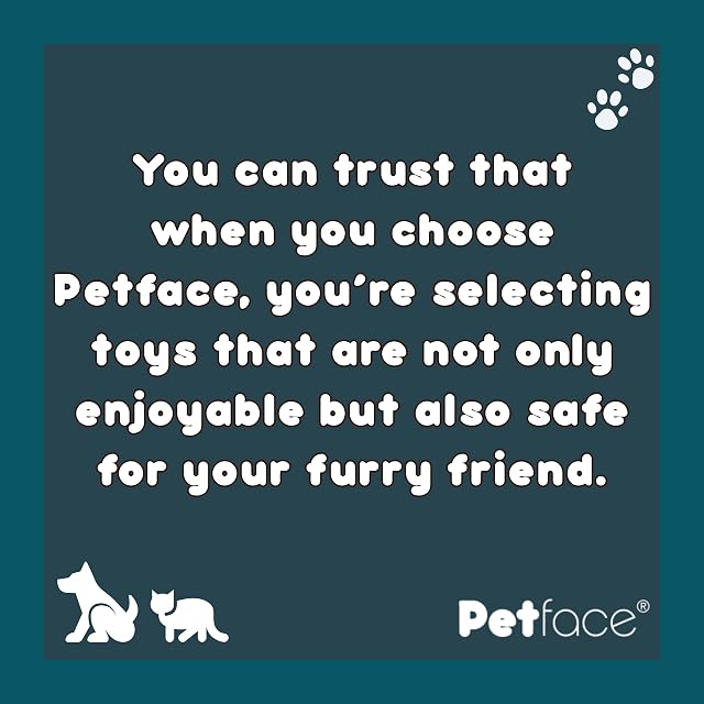 Foto 5 de 7 de Petface Juguete para Perro Toyz Rope Ball Tugger