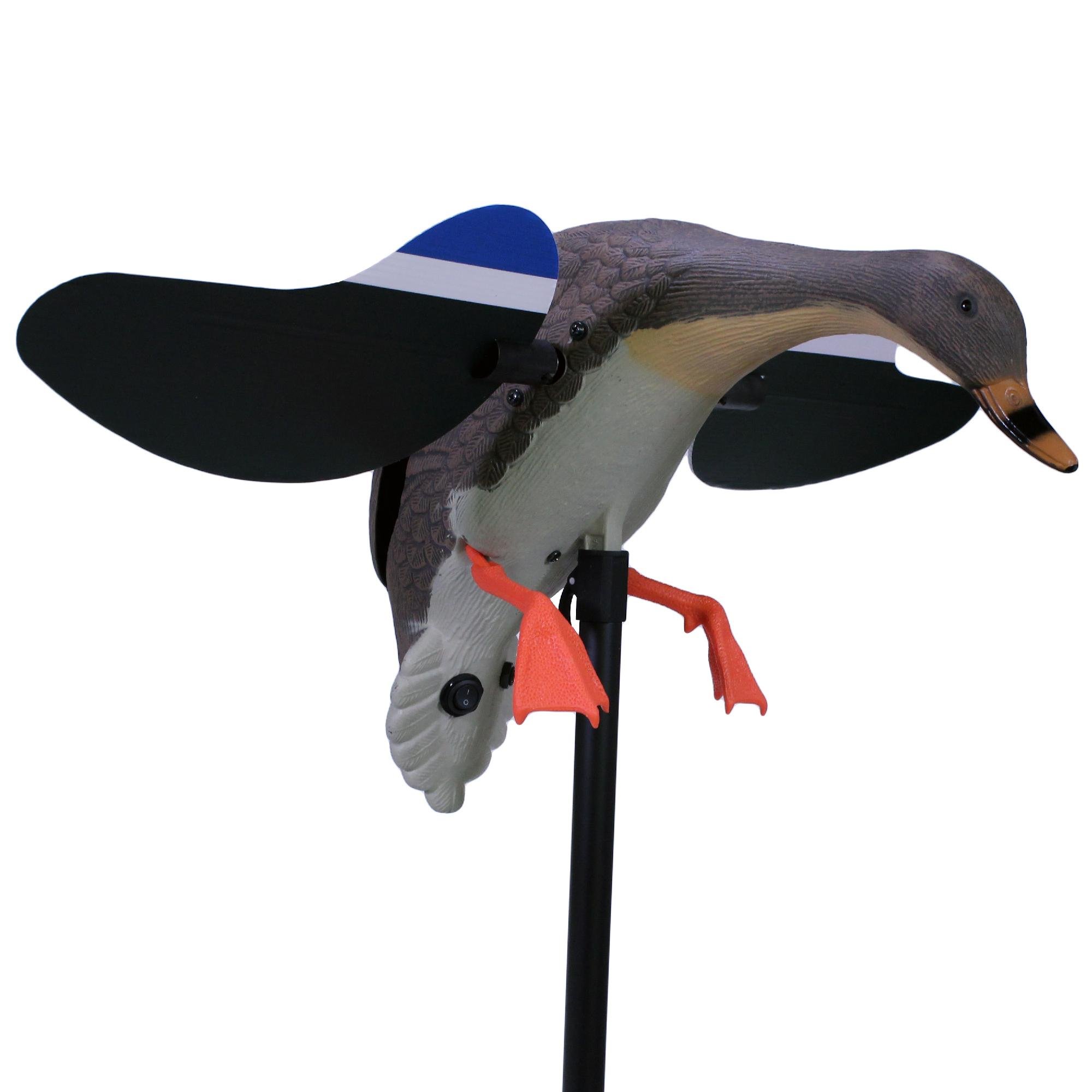 Mojo Decoys Mallard Hen Decoy with Remote