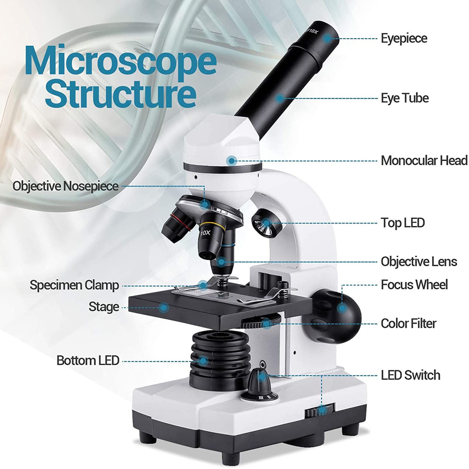 Microscopio biológico para Estudiantes 1600X Microscopio Compuesto Microscopios LED duales con Adaptador de teléfono para Laboratorio de Ciencias Estudio en el hogar