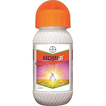 bayer adora price