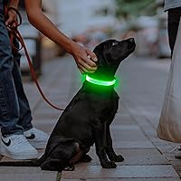 Vista 5 de Illumifun Collar LED para perro, collar de perro con luz, recargable que brilla en la oscuridad, collar de seguridad para perro, con luces para Verde