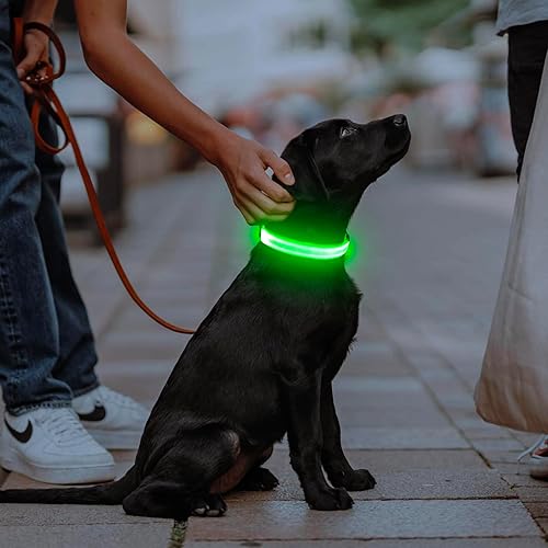 Miniatura 5 de Illumifun Collar LED para perro, collar de perro con luz, recargable que brilla en la oscuridad, collar de seguridad para perro, con luces para