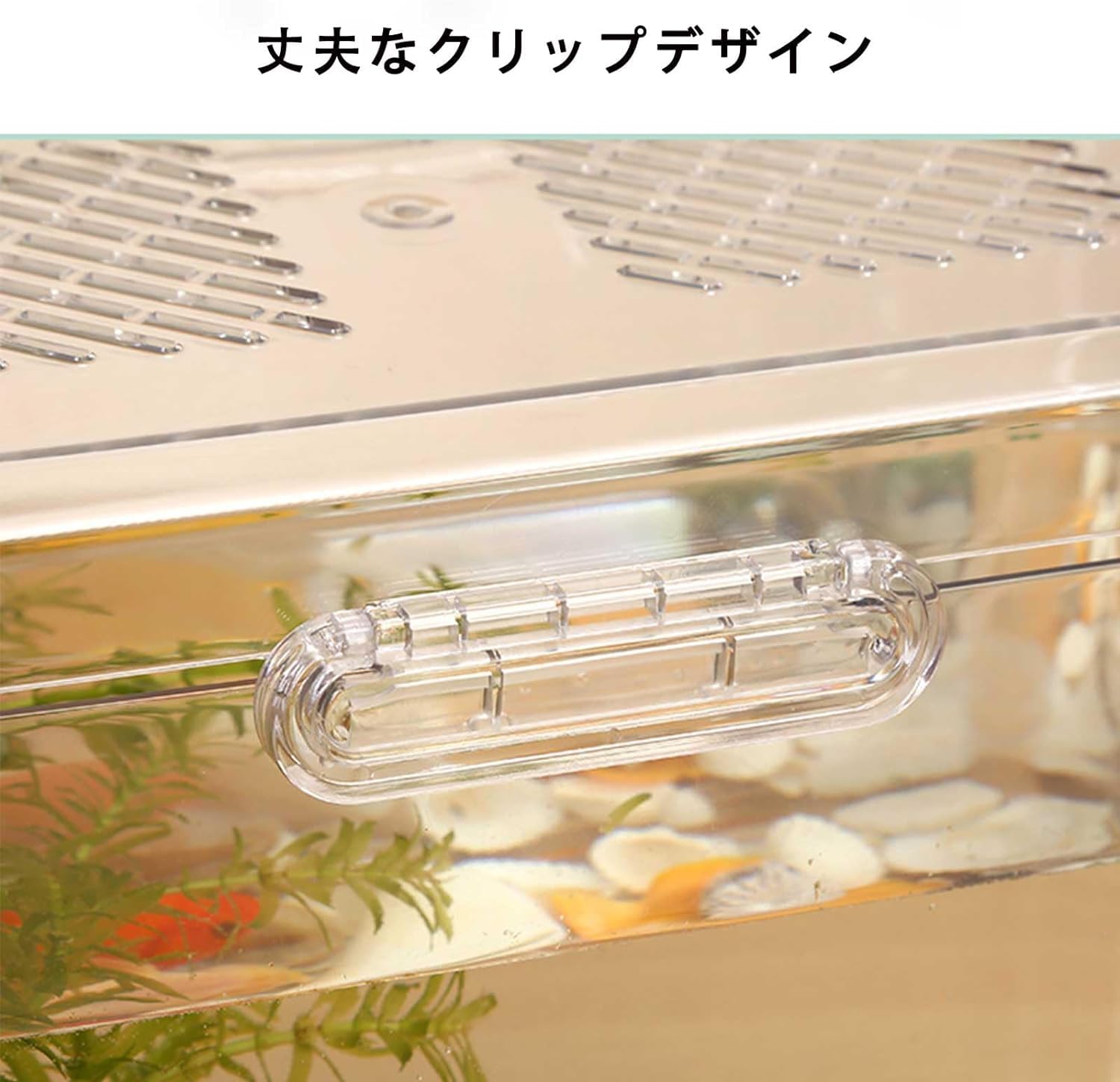 UNITED PETS バブル　イタリア　ガラス製　フードストッカー　水槽　※ Amazon | 大型水槽、蓋付き透明家庭用水槽、蓋付き水族館、金魚鉢