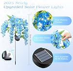 Ninonly Solar Garden lumières à l'extérieur, 2 Lumières de trajectoire solaire, 2 Modes d'éclairage Solar Wisteria Fleurs Lumières Extérieure Imperméable pour Paysage Cour Cour Decor