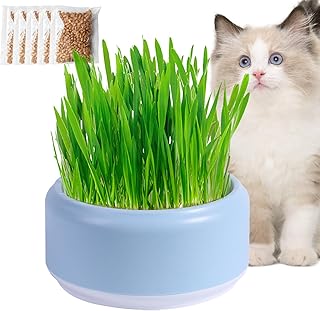 Cat Grass Planter for Indoor Cats | Organic Cat Grass Seeds Planter Kit | Growing Pot with Organic Seed | Soilless Culture Cat Grass Growing Kit | Cat Grass Seeds Sprouting Trays for Sprouts