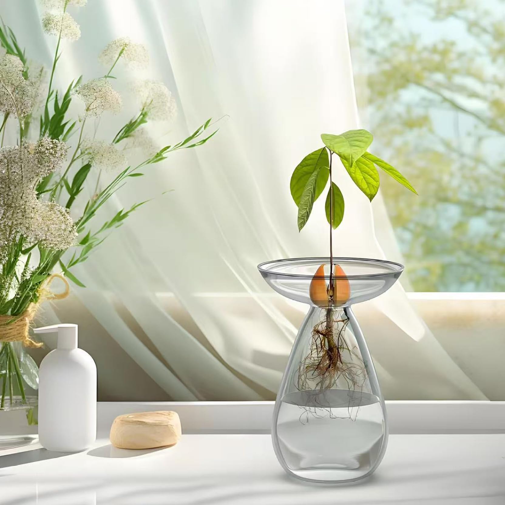 Macetas transparentes para plantas, florero de cristal transparente para semillas de aguacate, macetero para plantas hidropónicas, kit de cultivo de árboles pequeños para decoración de interiores, ho