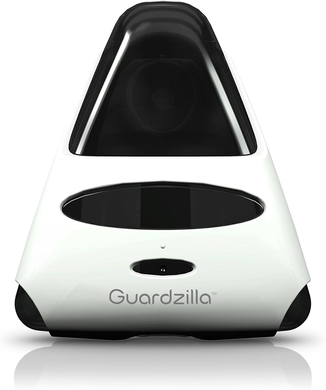 guardzilla alexa