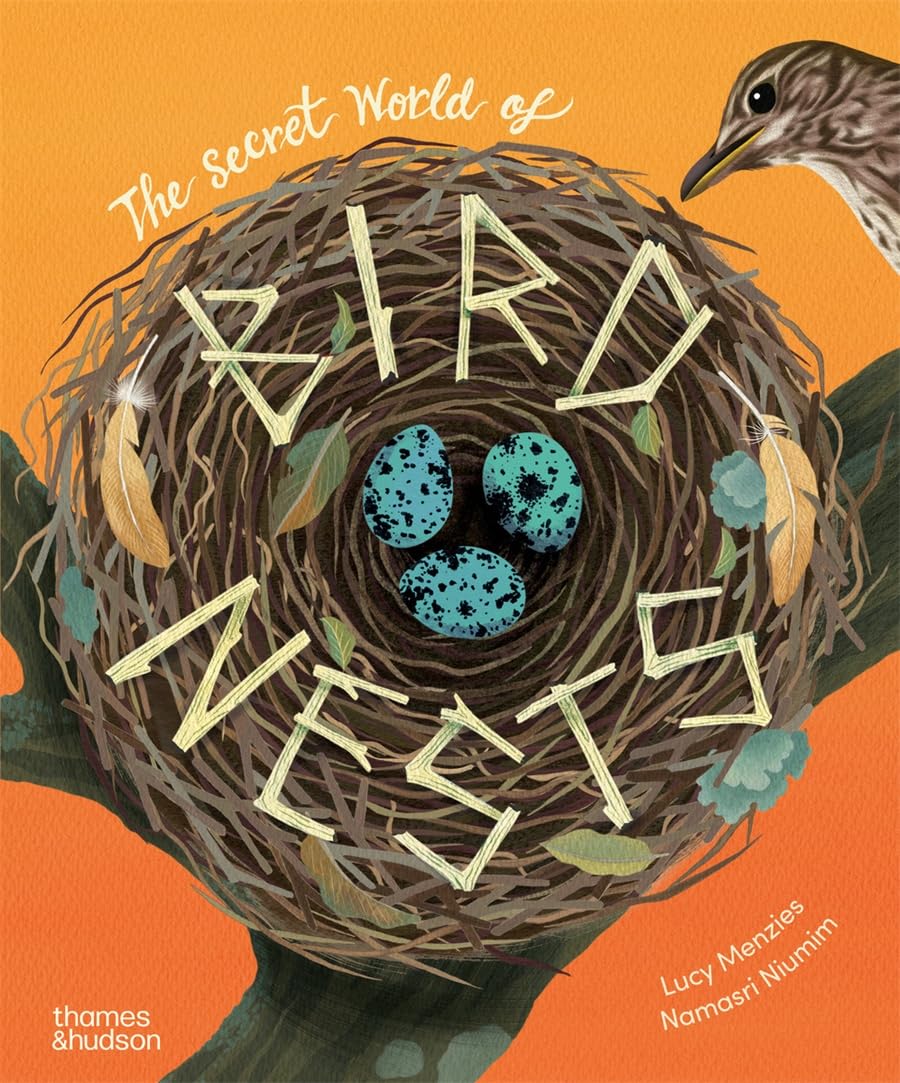 The Secret World of Bird Nests