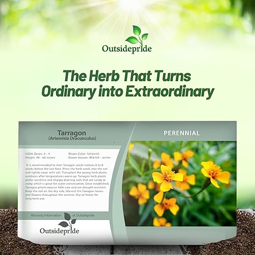 Miniatura 6 de Outsidepride Planta de jardín de hierbas culinarias de estragón de artemisia perenne para suelos secos, pobres y estériles, 5000 semillas