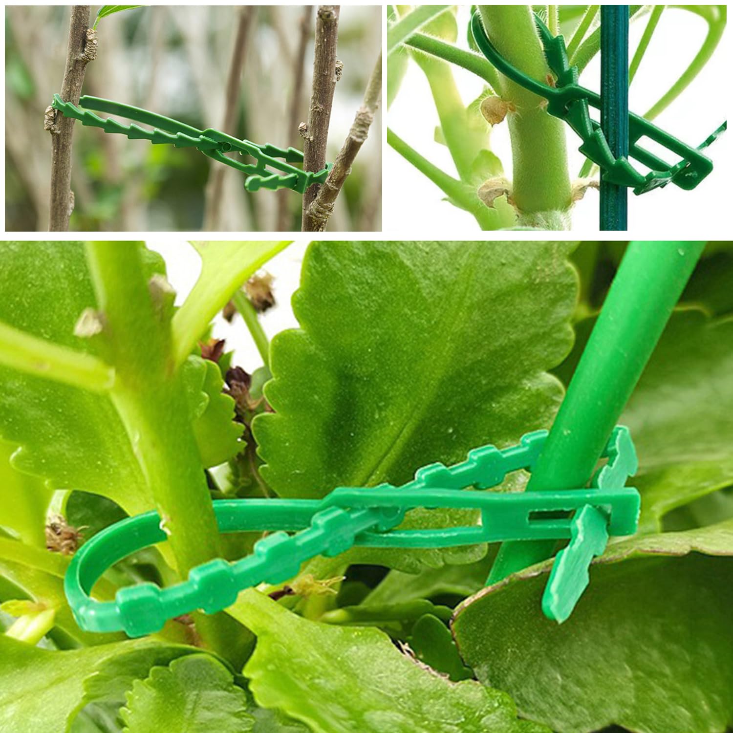 2 pcs10m fascette di supporto per piante rampicanti da giardino supporto riutilizzabile multifunzione e cavo di gomma per rami di piante da giardino sicuro