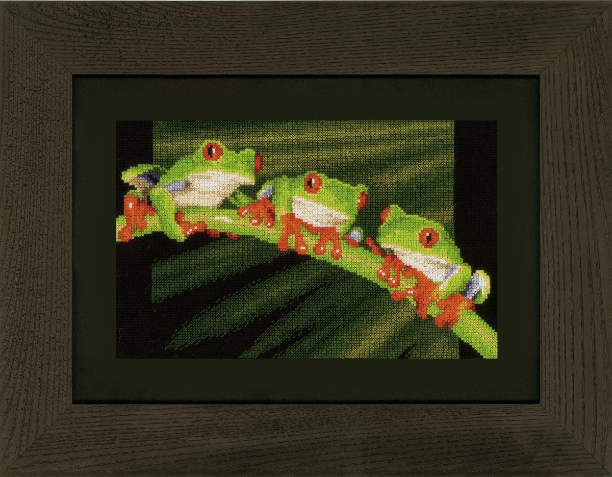 Vervaco Red Eye Tree Frog Trio CountedCross Stitch Kit, Multi-Colour