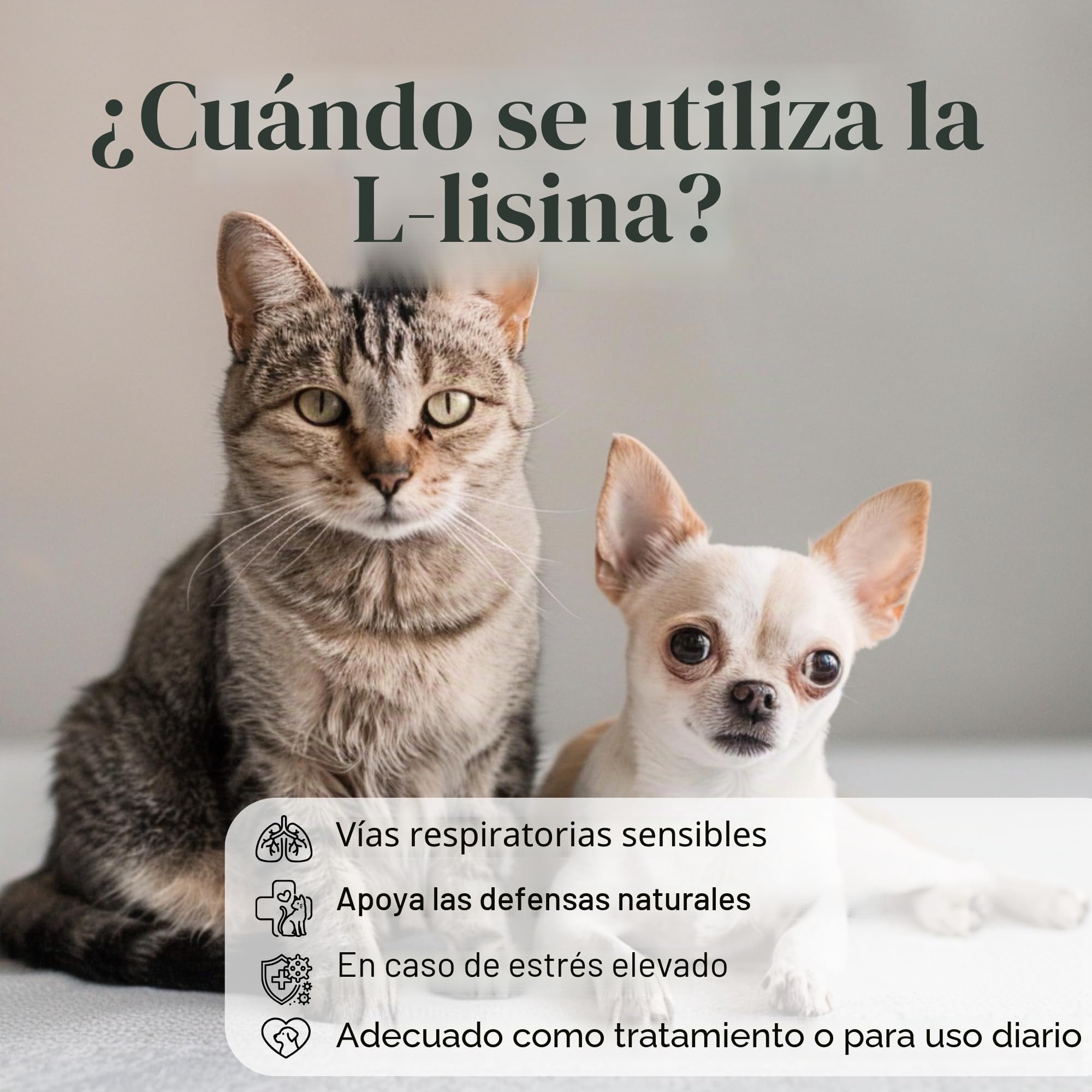 L-lisina para gatos y perros – Cápsulas de L-lisina en dosis altas 670 mg para apoyar el sistema inmunológico – Aminoácido Complemento alimenticio – 100 Cápsulas
