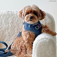 Vista 75 de Lucy & Co. Arnés para perro Midnight No-Pull – Talla M – Chaleco para dejar de tirar y caminar fácil – Cómodo producto de entrenamiento de correa