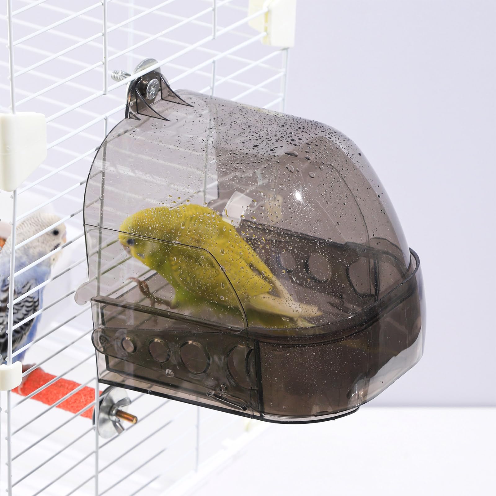 IBWell Parakeet Bird Bath for Cage Cockatiel Bird Bath Bird Bath Cage Bird Shower with Convenient Removable Tray - image 4