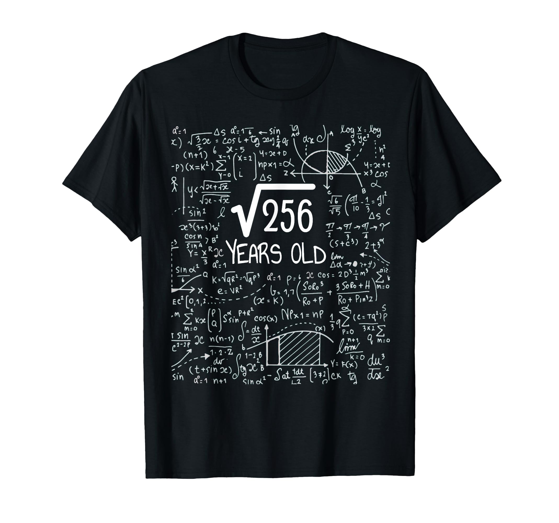 16th Birthday Square Root of 256: 16 Years Old T-Shirt