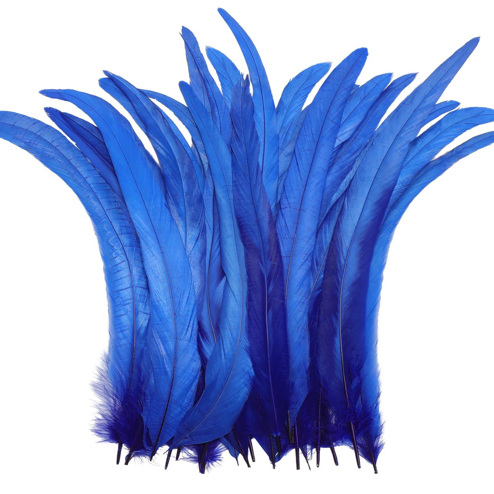 Plumes de coq 30-35cm bleu roi, lot 100 plumes naturelles loisirs