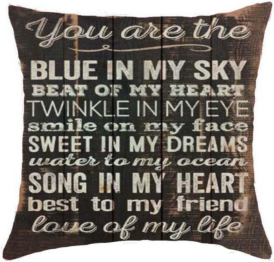 You are the love of my life Gift Cotton Linen Throw pillow cover Cushion Case Holiday Decorative 18"X18" inch (2)