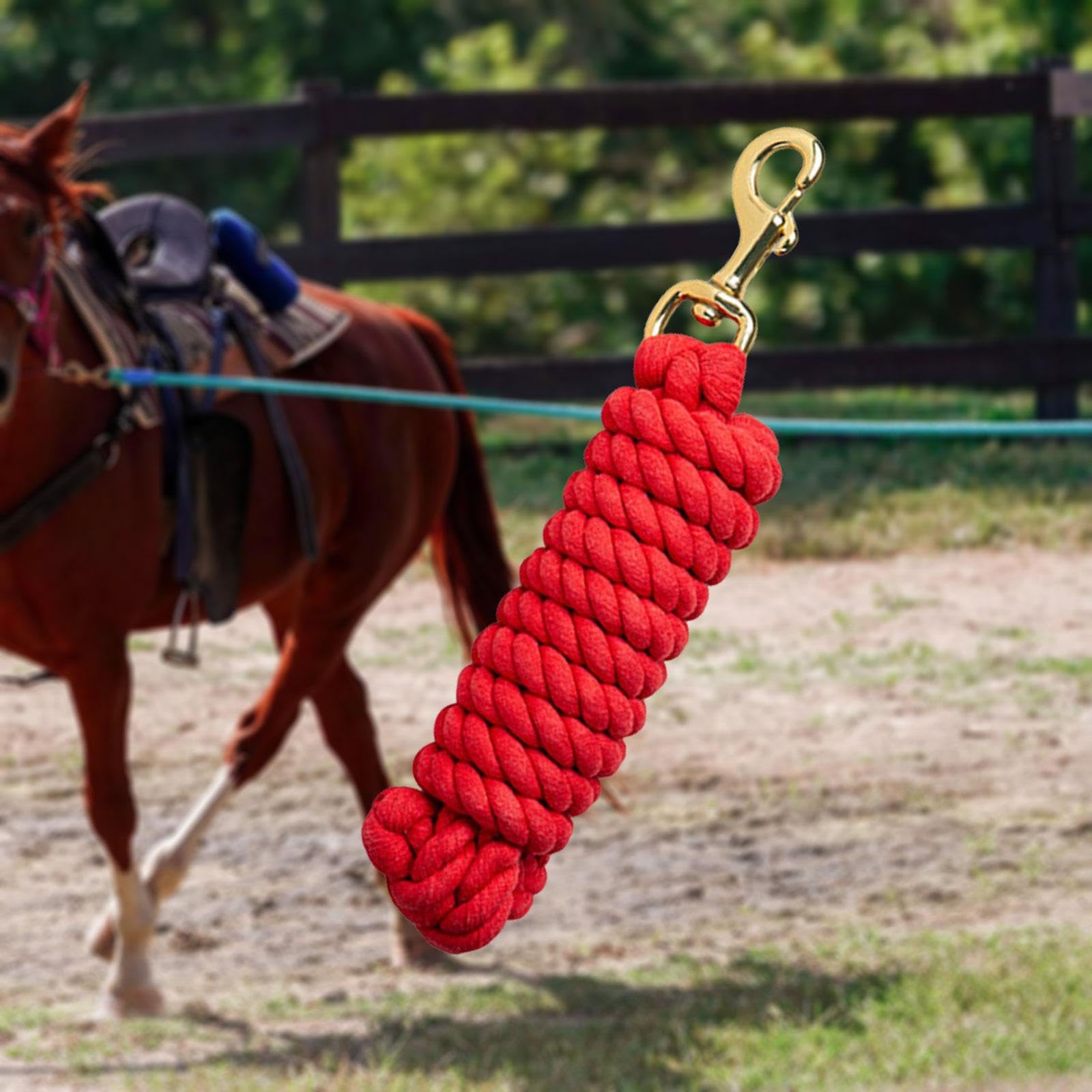 QSTDGVPW Horse Lead Rope with Bolt Snap, Sturdy Lunge Rein Cord Horse Leads, Equestrian Lead Rope, Horse Lunge Line for Livestock, Red
