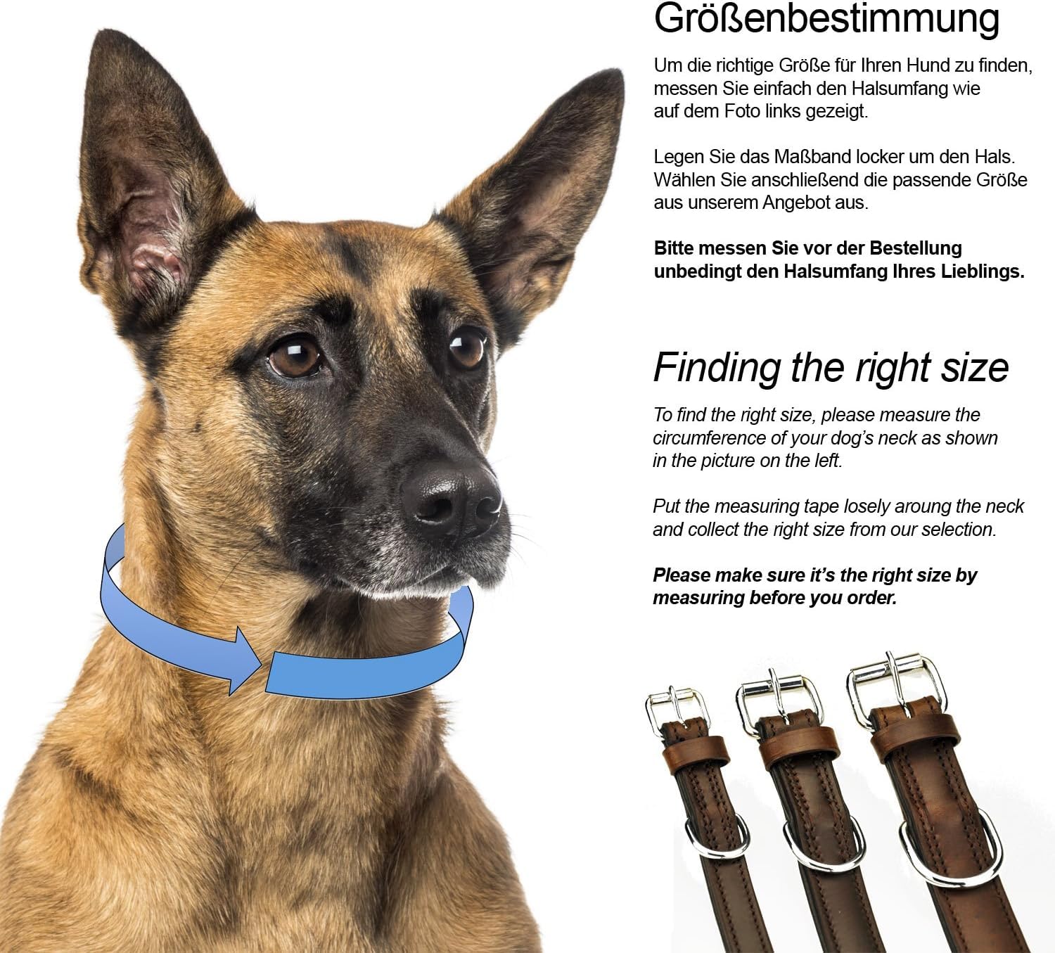 Hunde Halsband und Leine Set - aus Leder - handgenäht - Halsband Größe L/Leine 230cm (Braun)
