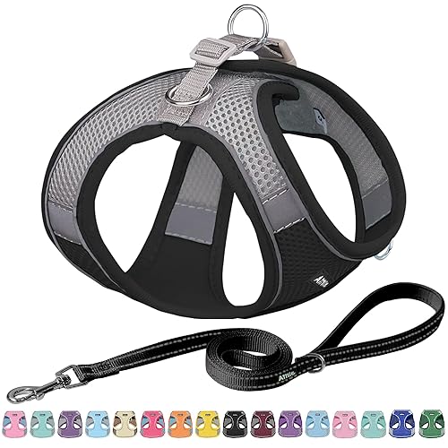 AIITLE Escape Proof Dog Harness - Step in Adjustable Dog Harness No Choke Over with Breathable Mesh and Quick-Release Buckle for All Weather- Outdoor Walking, Training for Medium Dogs Black XL