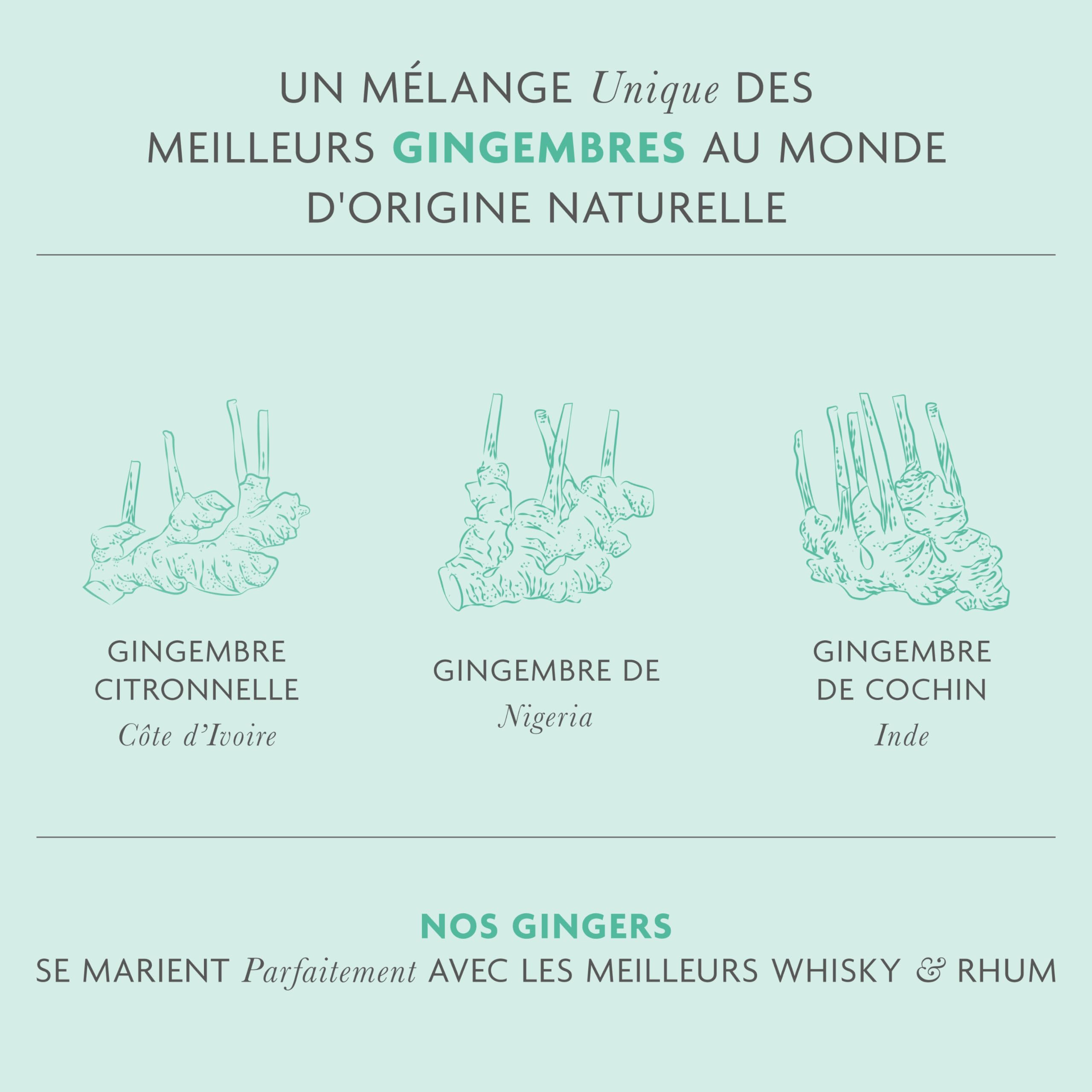 FEVER-TREE - 6 Packs de 4 Bouteilles de Premium Ginger Ale - Soda Gingembre -Pour des cocktails d'exception