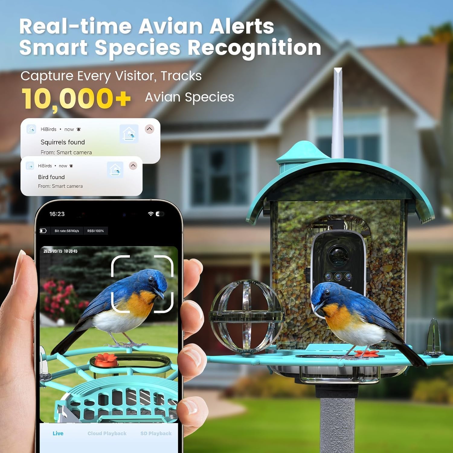 Condition photo showing New/Like New for Smart Bird Feeder with Camera, AI Identify Birds Species Solar Powered, 2K HD Video Bird House with Camera, Instant Arrival Alerts, Waterproof Squirrel Proof, Gift for BirdLovers, 2.4GHz WiFi, Blue