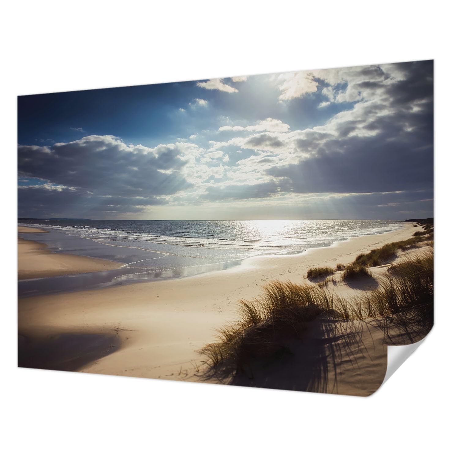 Décor Mural Haute Qualité Résistante aux Taches - Tulup Rivage Radieux 312x219