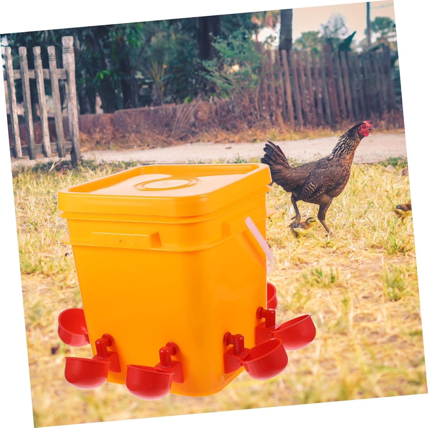 Automatic Poultry Water Feeder with Red Drinking Cups Chicken Water Bowl for Chickens Ducks Geese and Quails Convenient Fill for Busy Poultry Keepers