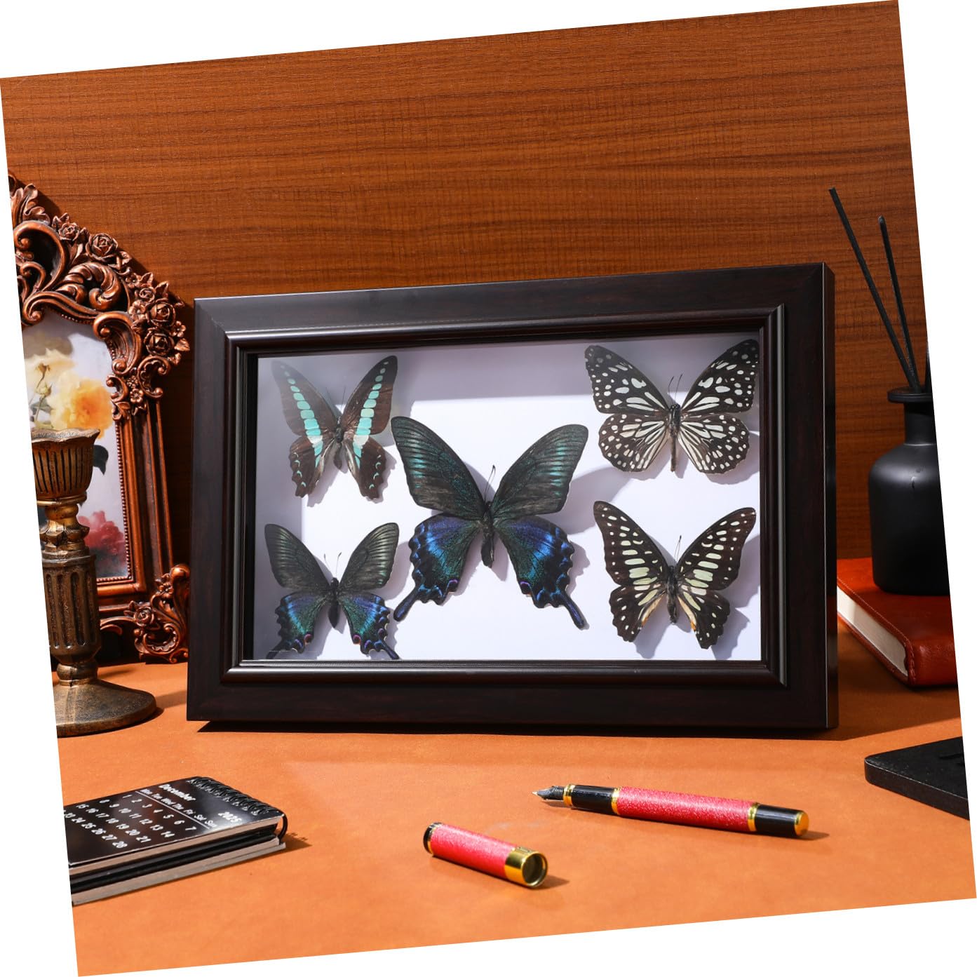 SHINEOFI Marco de Exhibición de Mariposas Disecadas A7 Decoración Mural de Madera Natural Arte Mural Hecho a Mano para Sala de Estar Cuadro Decorativo de Pared para Coleccionistas y