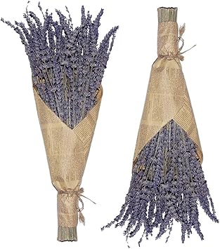 Cedar Space Lavender Dried Flowers 2 Bunches Dried Lavender Ideal Home Fragrance Products for Home Decorations