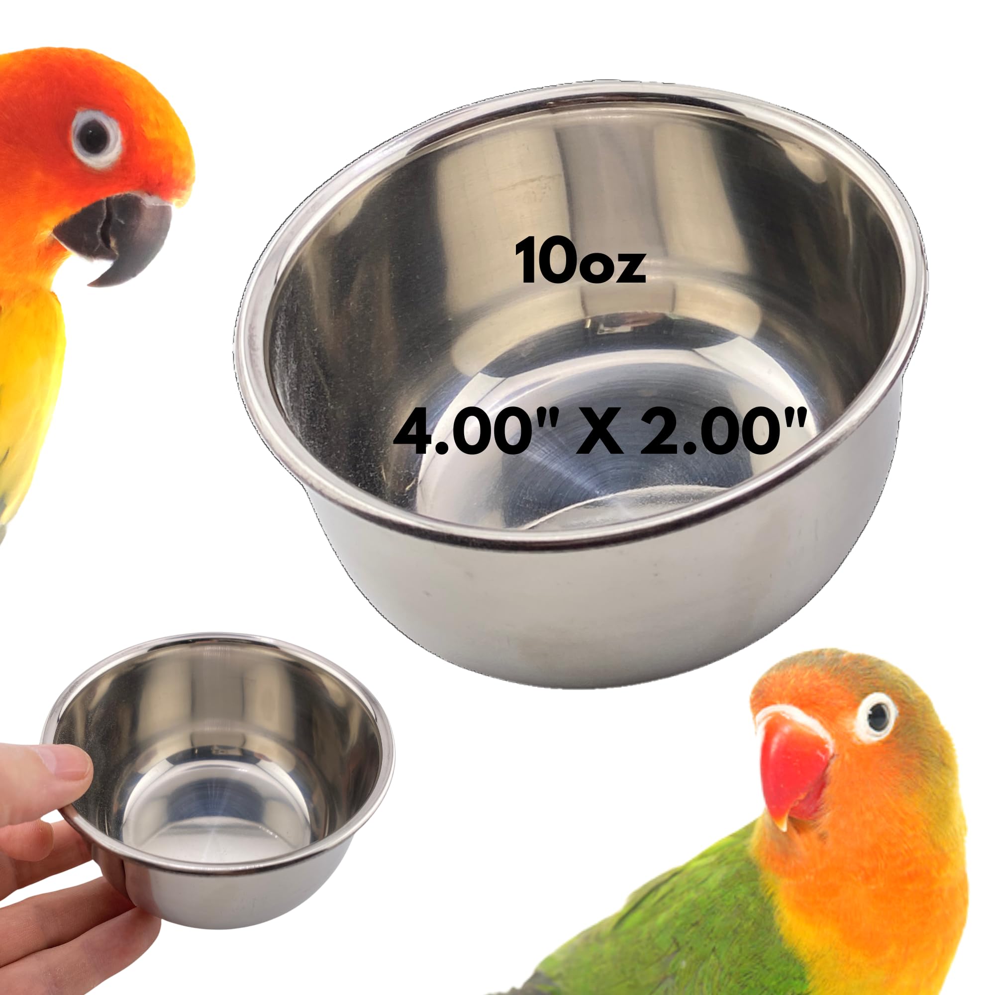 Kings Cages Round Stainless Steel Bowls Cage Feeders Seed Water Parrot Treat Pet, Cockatiel, Parakeet, Conure, Amazon, African Grey, and Similar Breed Sizes (2757 10oz Stainless Steel Bowl)
