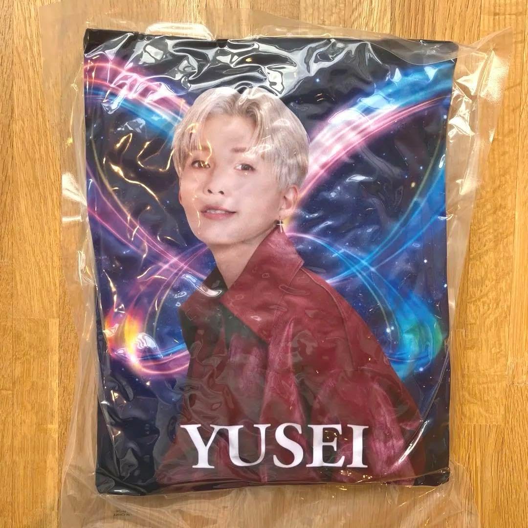 BUTTERFLY EFFECT 八木勇征クッション FANTASTICS BUTTERFLY 7/20限定