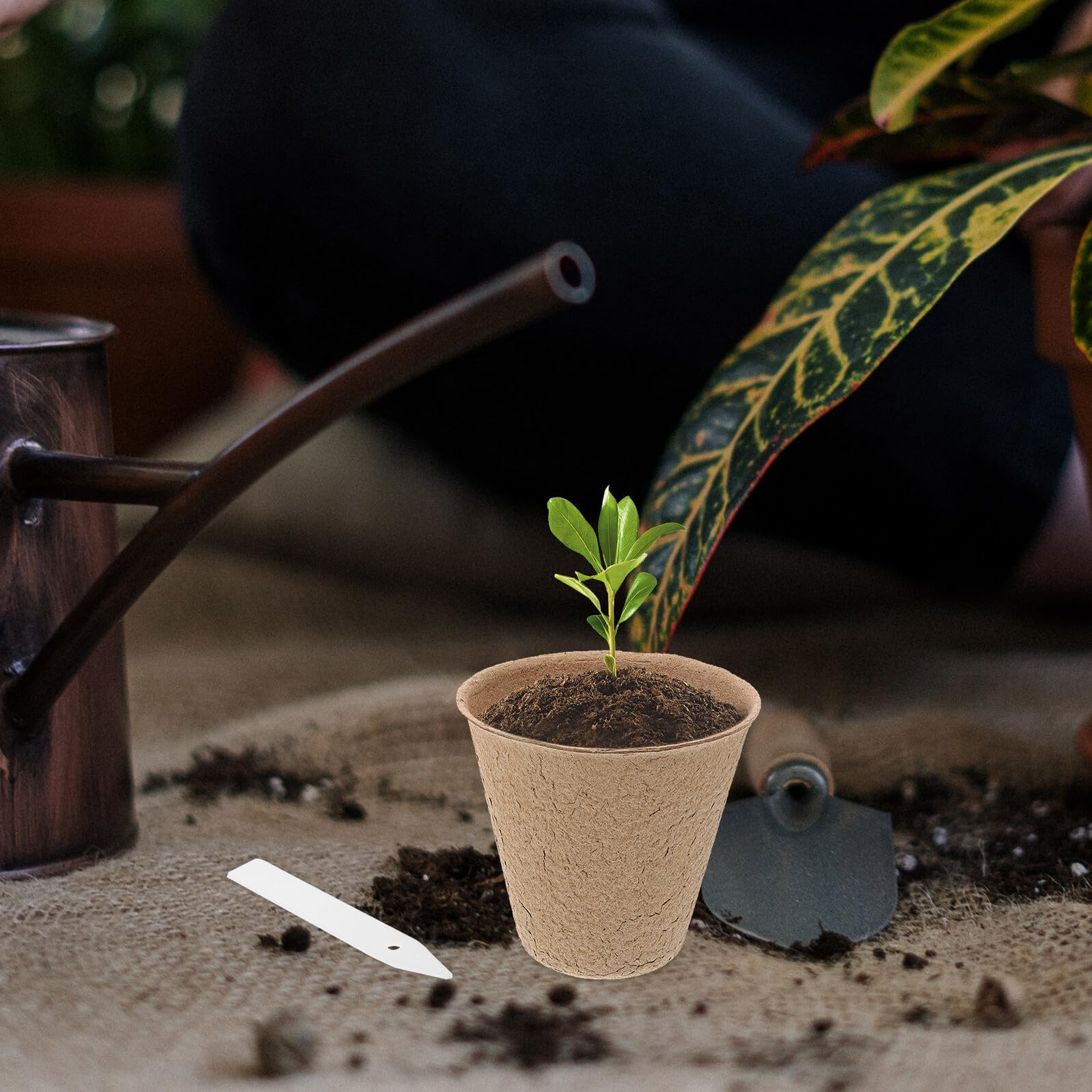 Toddmomy Kit de 110 Pots de Semis en Pulpe 10 Étiquettes pour Jardinage Intérieur et Extérieur, Taille Standard, Pot de Tourbe pour Germination et Plantation Écologique