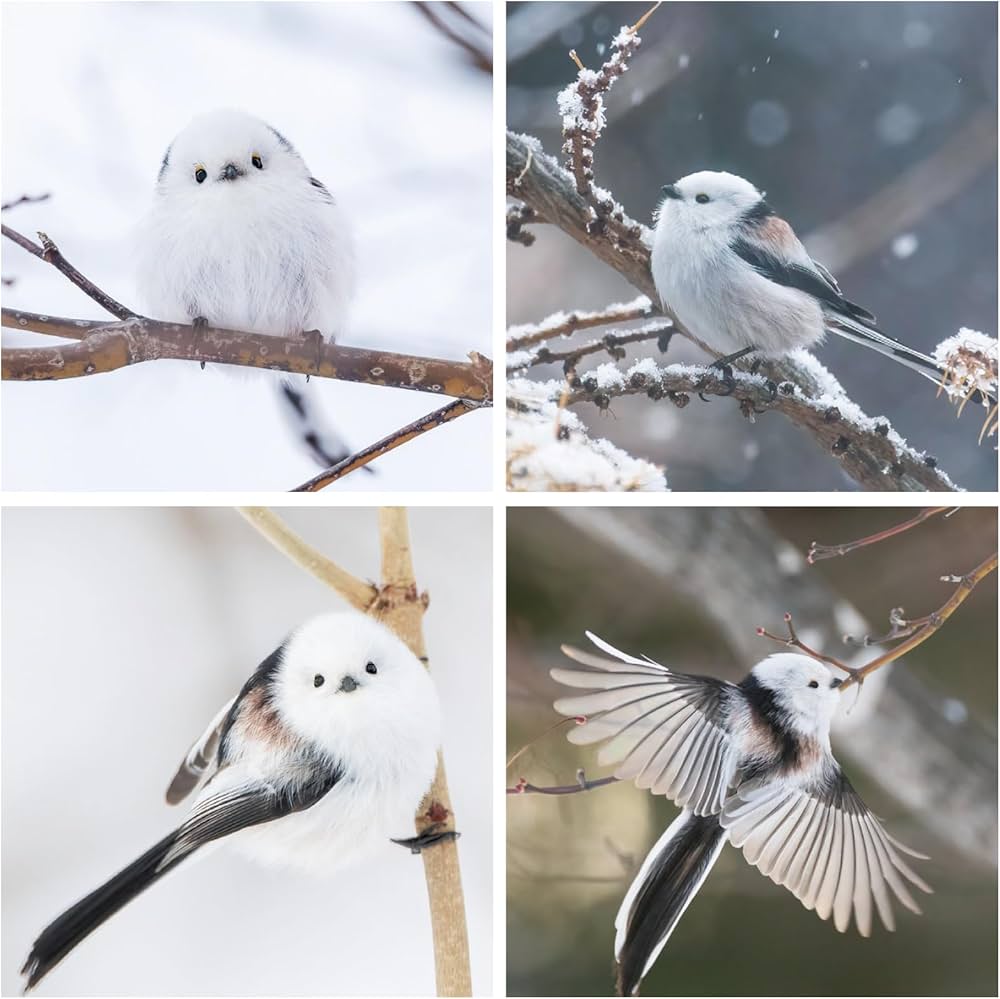 Amazon.co.jp 限定】もふもふふわふわシマエナガ 卓上カレンダー 2026
