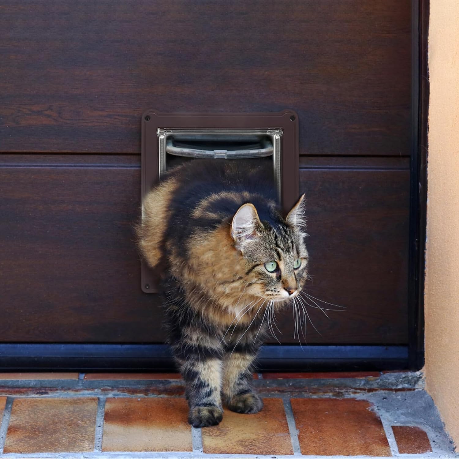 Uonlytech Large Abs Cat Door with 4-Way Locking Flap for Indoor and Outdoor Use Pet Door for Small Cats and Dogs Sturdy Wood Frame