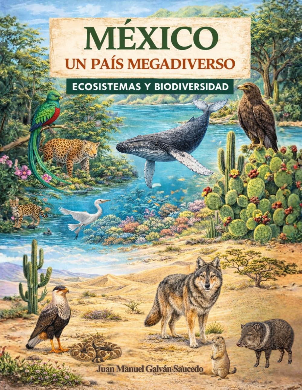 México un País Megadiverso Ecosistemas y Biodiversidad: Cuaderno Didáctico de Ecosistemas de México | México un País Megadiverso Ecosistemas y ... de ecología, recursos didácticos de biología